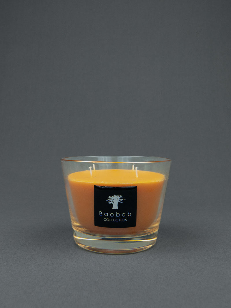 Baobab - Zanzibar Spices Duftkerze, Small - Duftnoten: Zimt, Kurkuma - 60 Stunden Brenndauer | BADINFORM