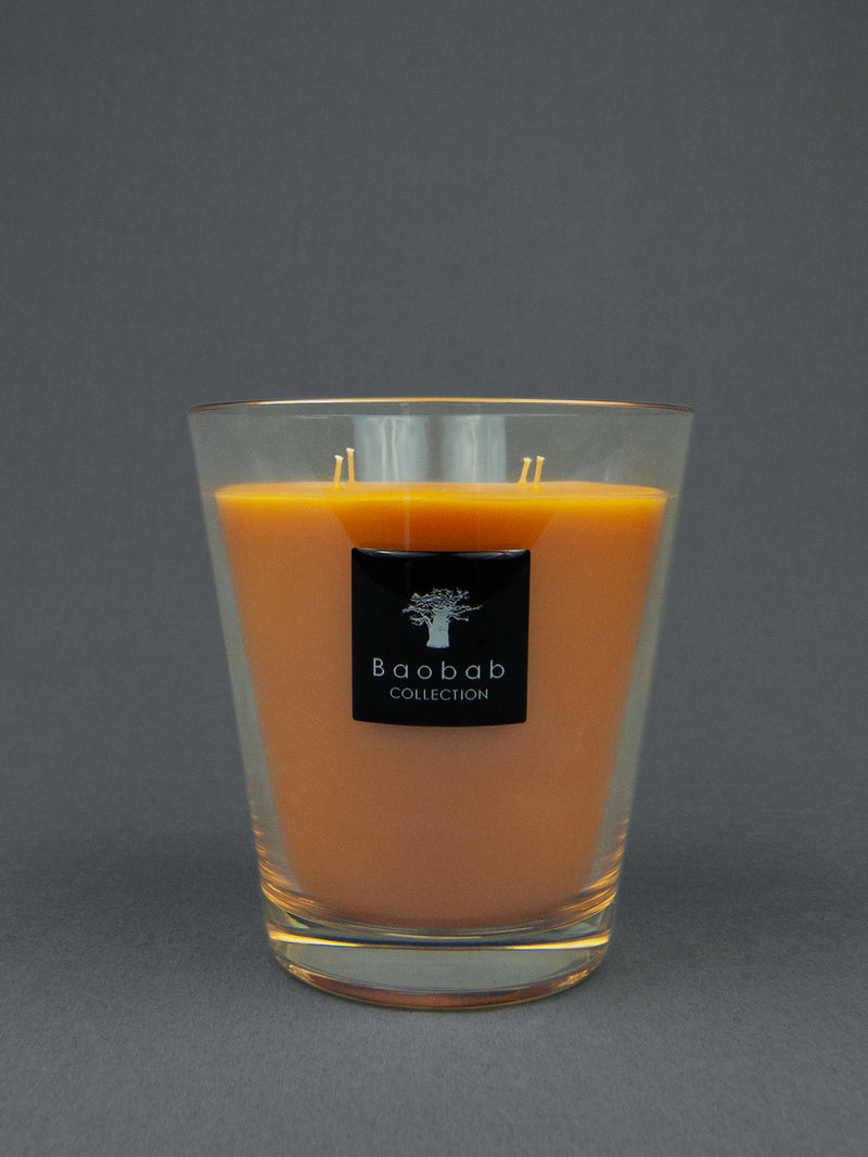 Baobab - Zanzibar Spices Duftkerze, Medium - Duftnoten: Zimt, Kurkuma - 150 Stunden Brenndauer | BADINFORM