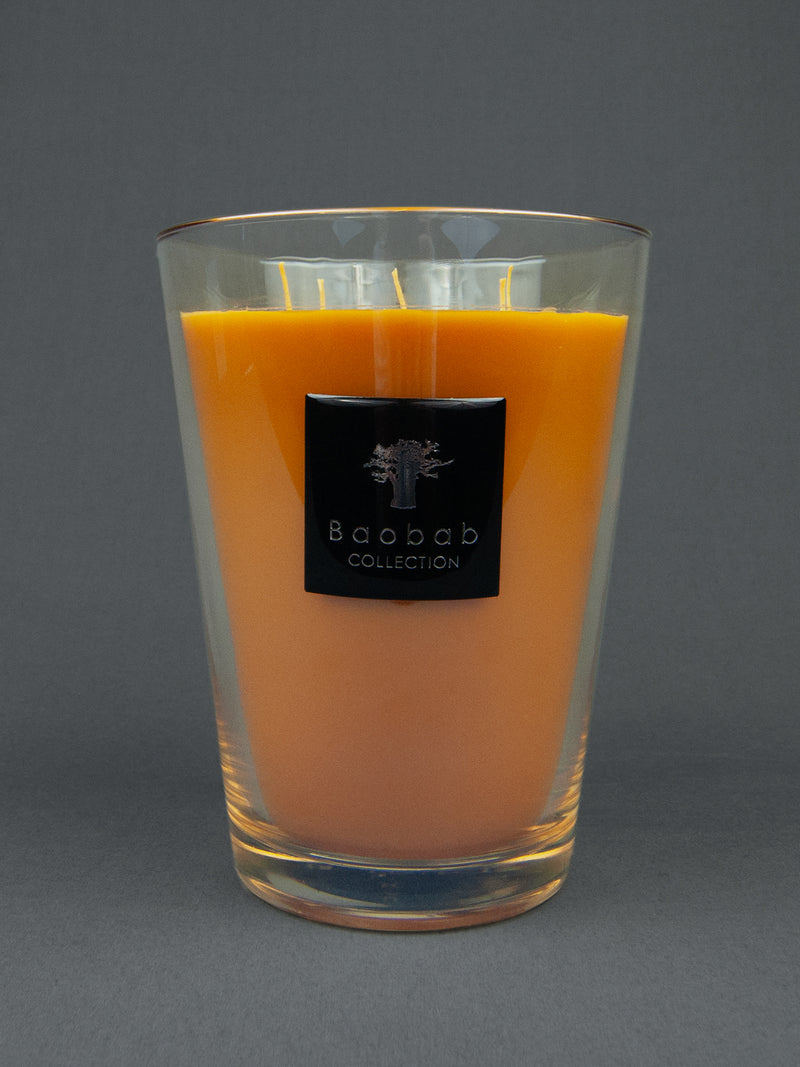 Baobab - Zanzibar Spices Duftkerze, Large - Duftnoten: Zimt, Kurkuma - 400 Stunden Brenndauer | BADINFORM
