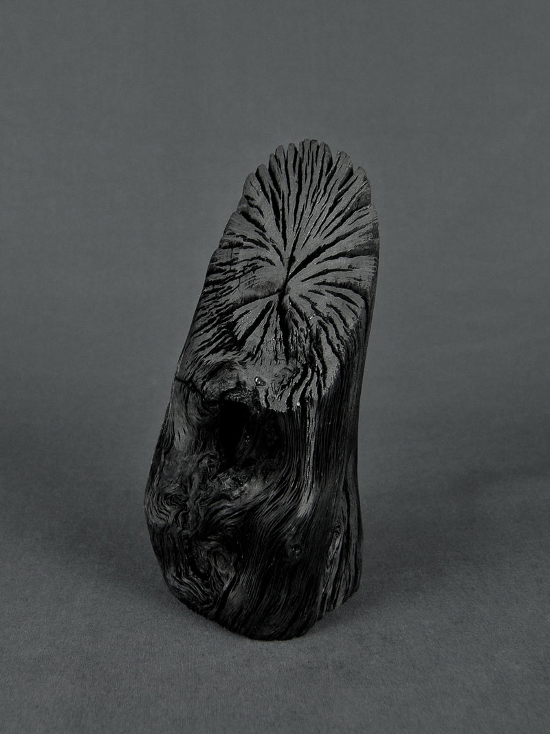 Sort of Coal - Binchotan Sculpture | reinigende Aktivkohle Skulptur | Shop Online at BADINFORM